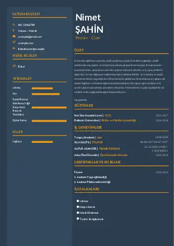 Ressam Cv Örnekleri cv indir